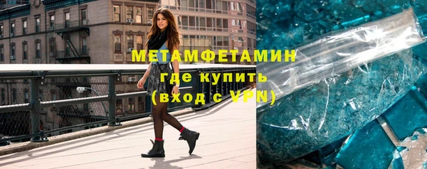 шишки Надым