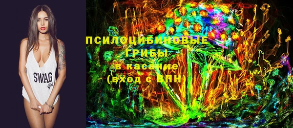 шишки Надым