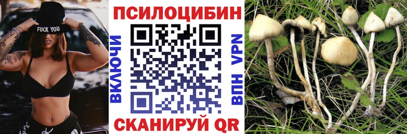 купить сайты Колпашево Псилоцибиновые грибы MAGIC MUSHROOMS